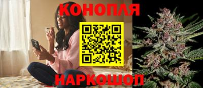 spice Гагарин