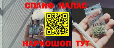 spice Гагарин