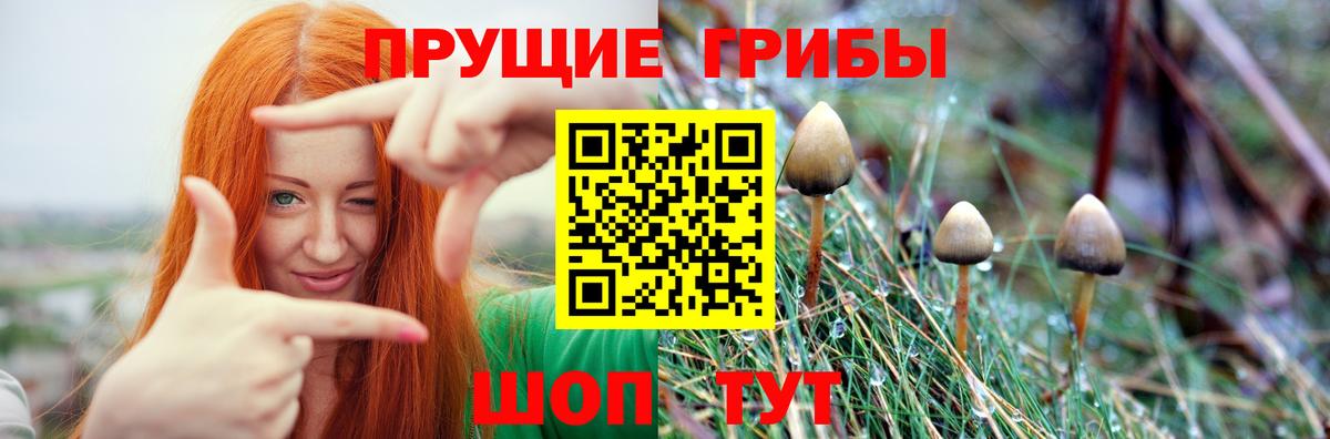 Псилоцибиновые грибы MAGIC MUSHROOMS  даркнет сайт  Минеральные Воды  Вход с VPN 