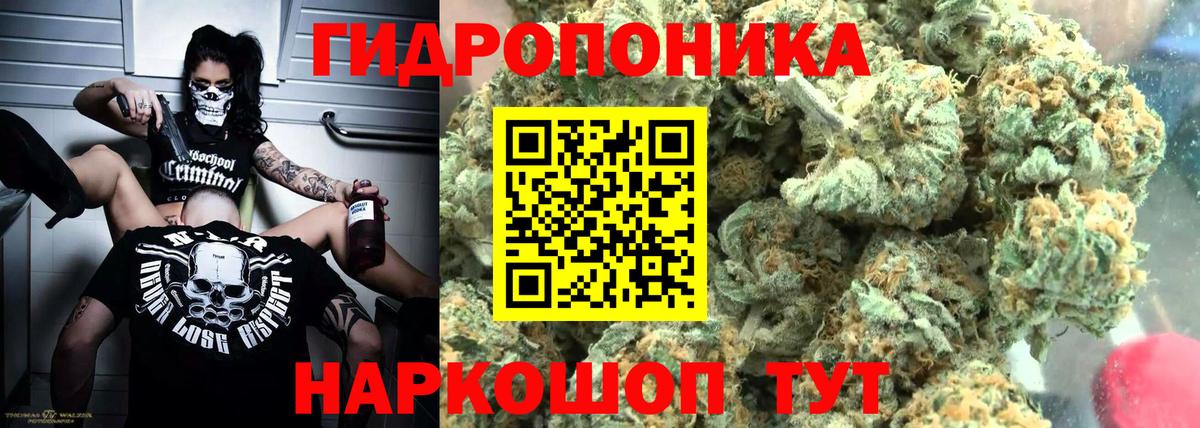 МАРИХУАНА планчик  Вход с VPN  Минеральные Воды  Канабис план 